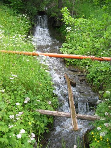 Náhodné foto